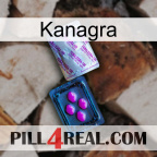 Kanagra 37